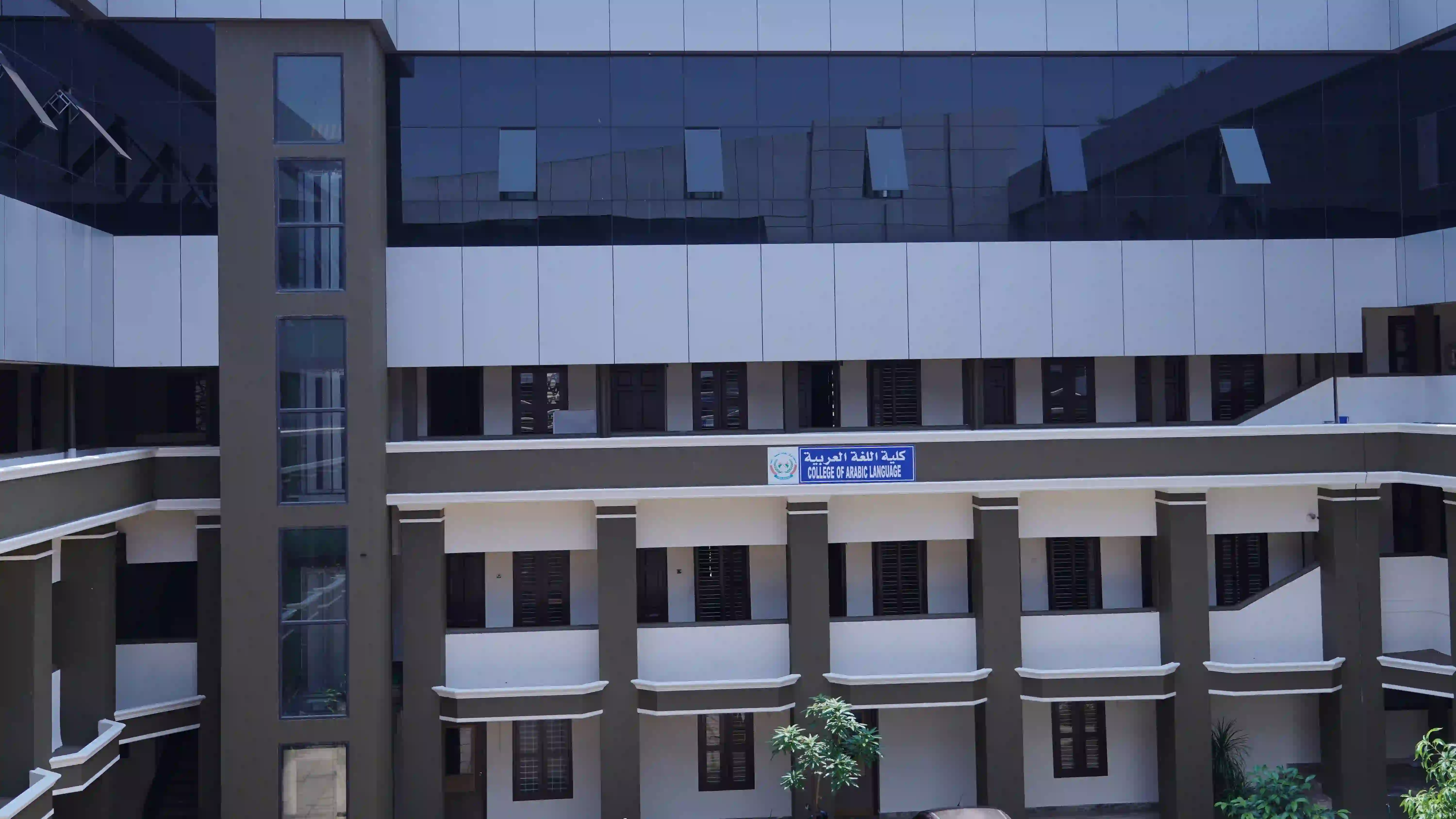College of Arabic Language